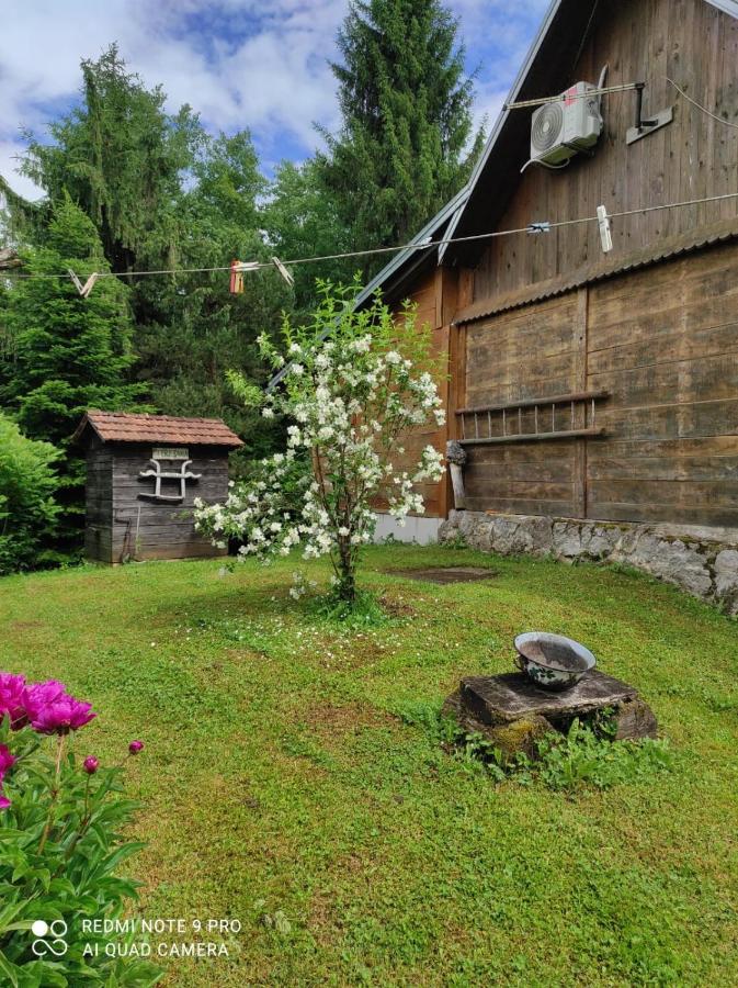 Villa Dorina Hiza à Karlovac Extérieur photo
