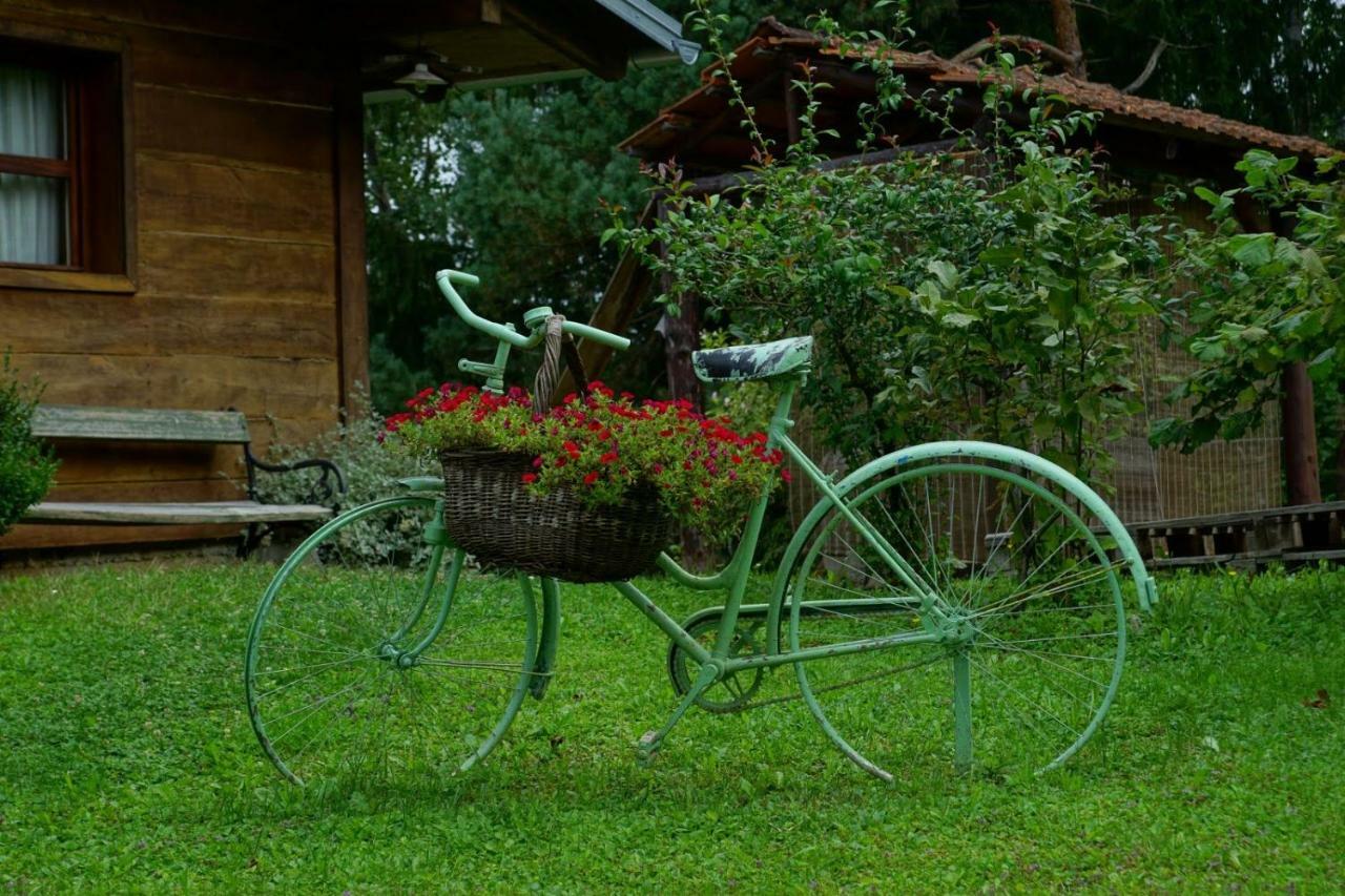 Villa Dorina Hiza à Karlovac Extérieur photo